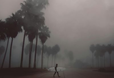 veg_pulav_with_tomato_andlemon