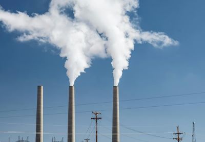 star_fish_dish_with_lemon