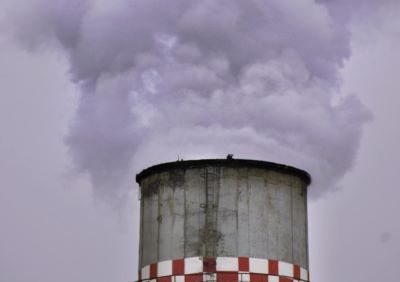 white_rice_with_varan_and_salad